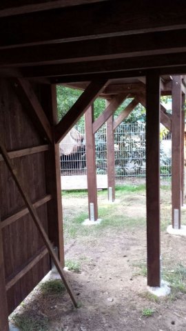 Bild9